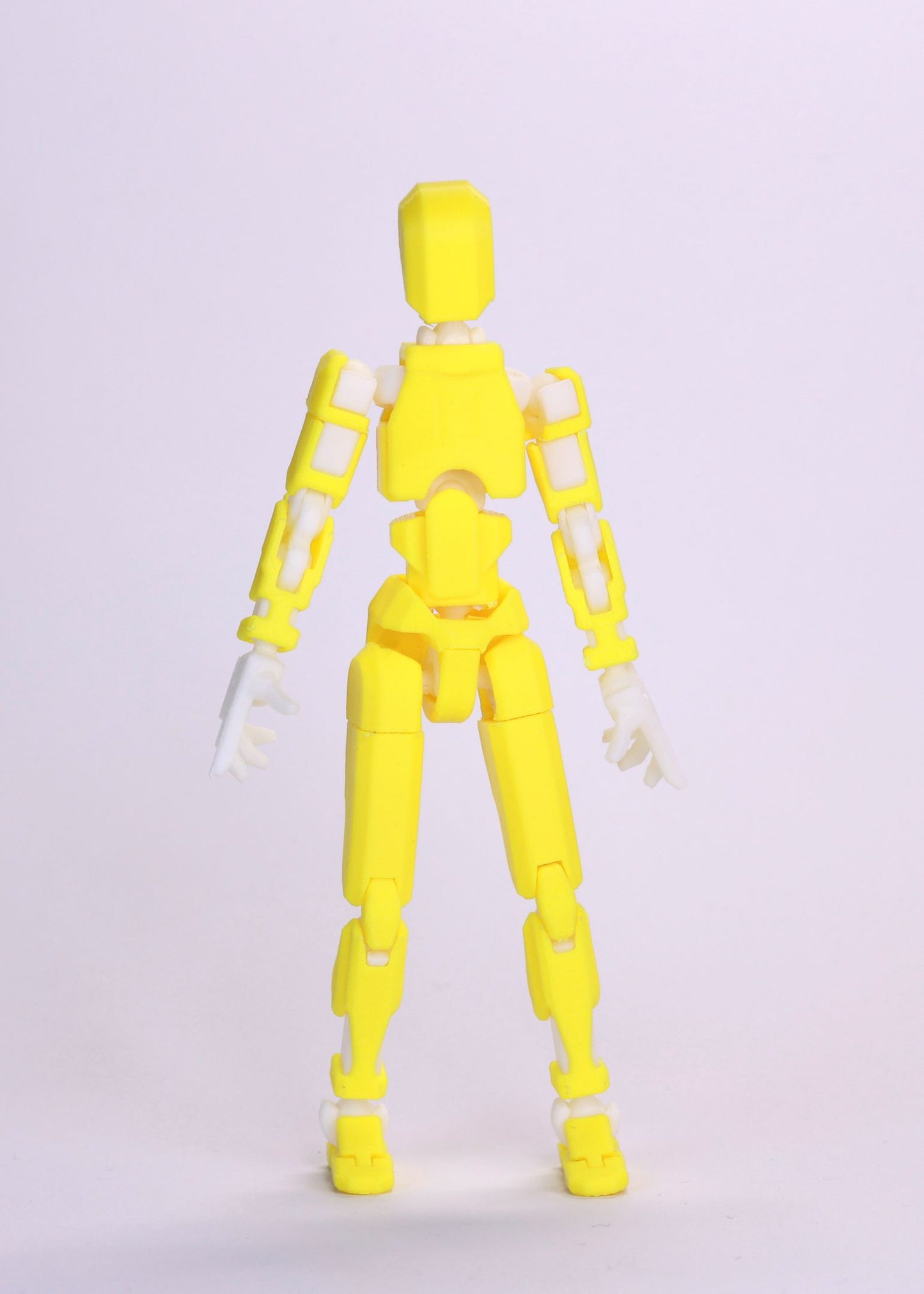 Dummy 13