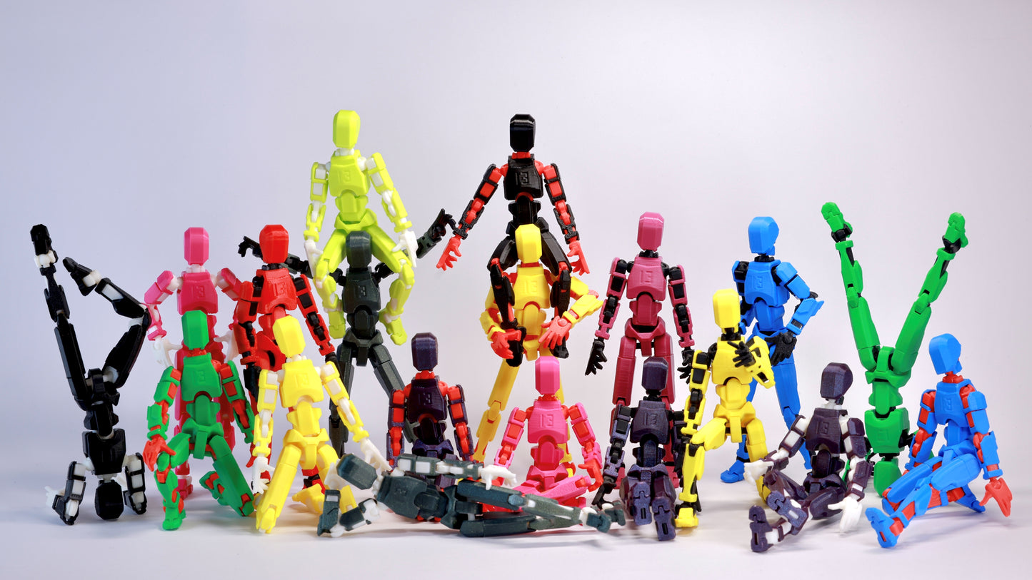 Dummy 13